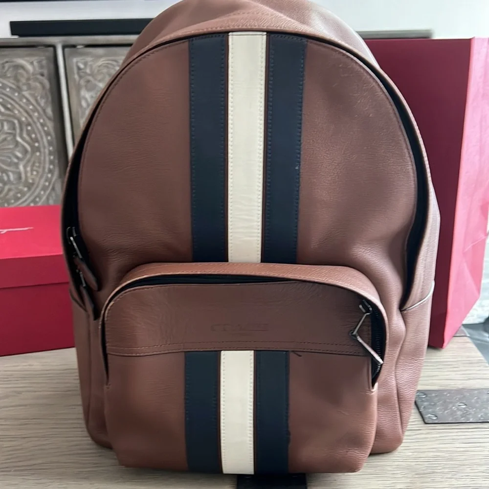 Men’s Coach Houston Backpack with Varsity Stipe - Picture 8 of 12